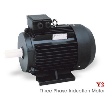 Serie Y2 (MS) Motor eléctrico asíncrono trifásico (18.5kw)